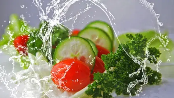 Oferta de Gastronomía saludable la nueva tendencia
