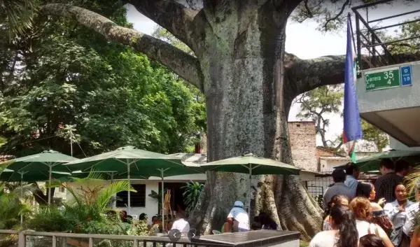 Restaurante La Plazoleta de San Fernando